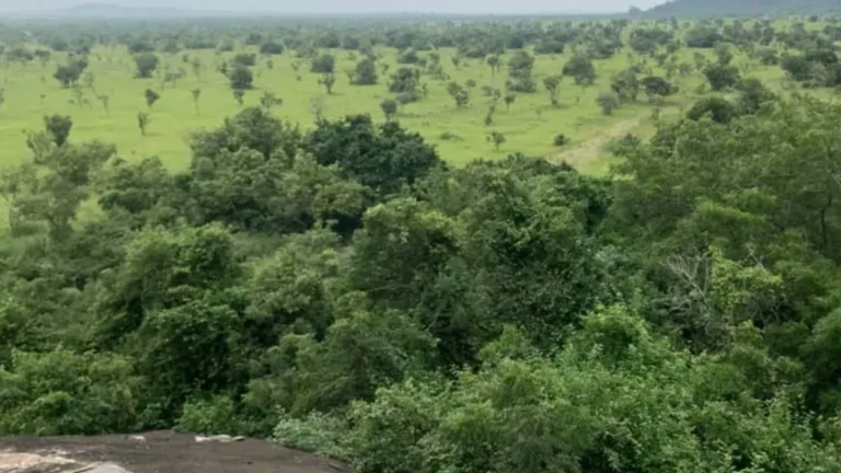 Shai Hills