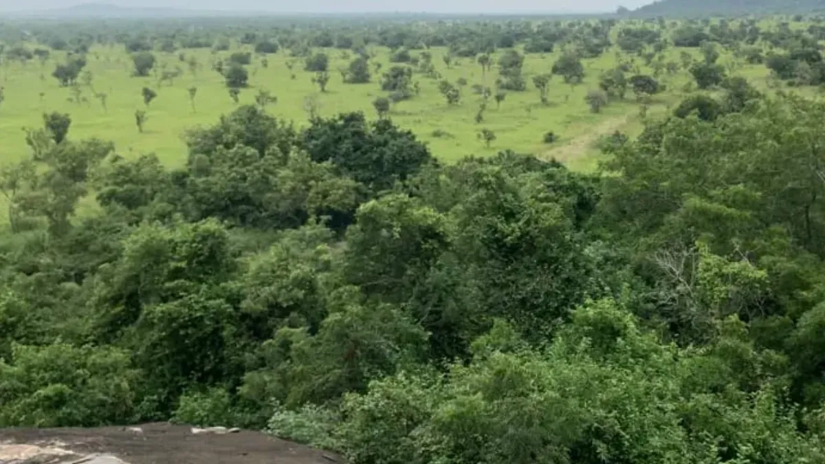 Shai Hills